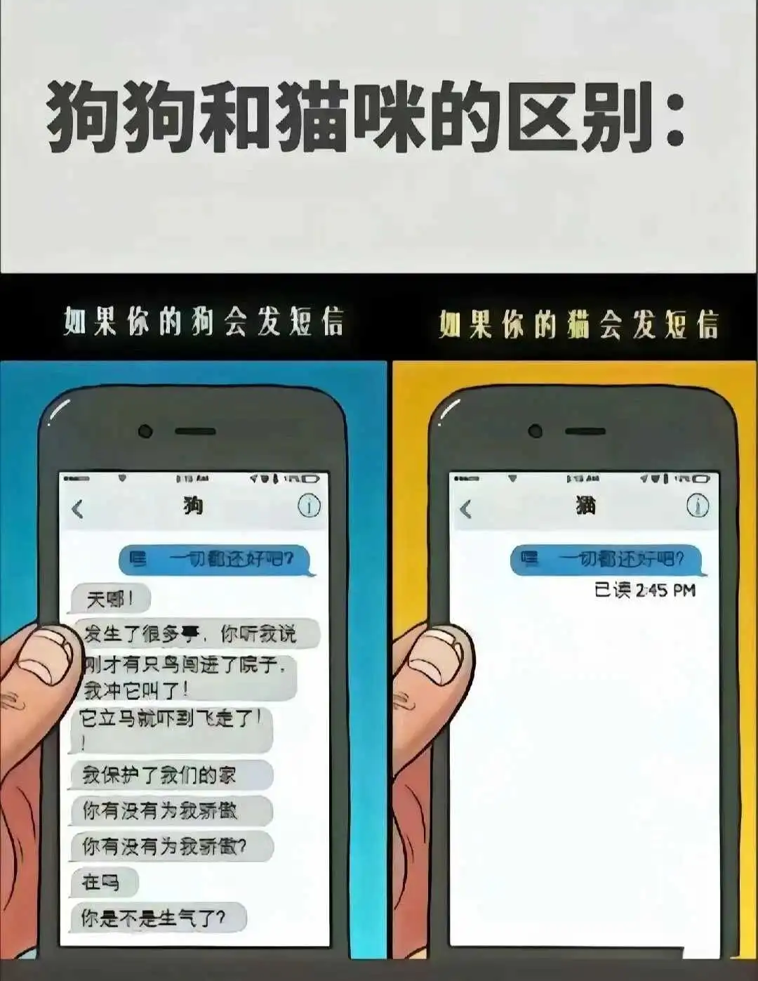 【西檬之家】BDSM科普：如何正确理解字母圈中的互动与信任