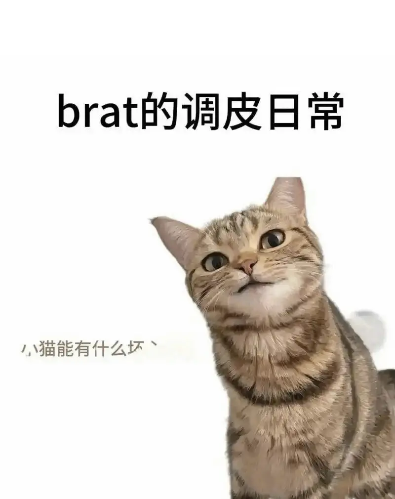 【西檬之家】BDSM管教：字母圈小圈的核心实践与安全指南