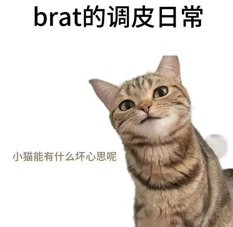 【西檬之家】恋足癖在BDSM中的定位与安全实践指南
