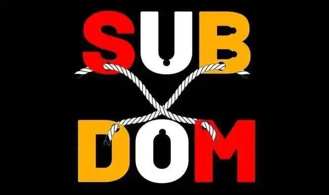 【西檬之家】S倾向解析：字母圈新人如何理解BDSM中的支配角色
