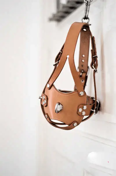 【西檬之家】BDSM是什么？字母圈新人入圈必读术语指南