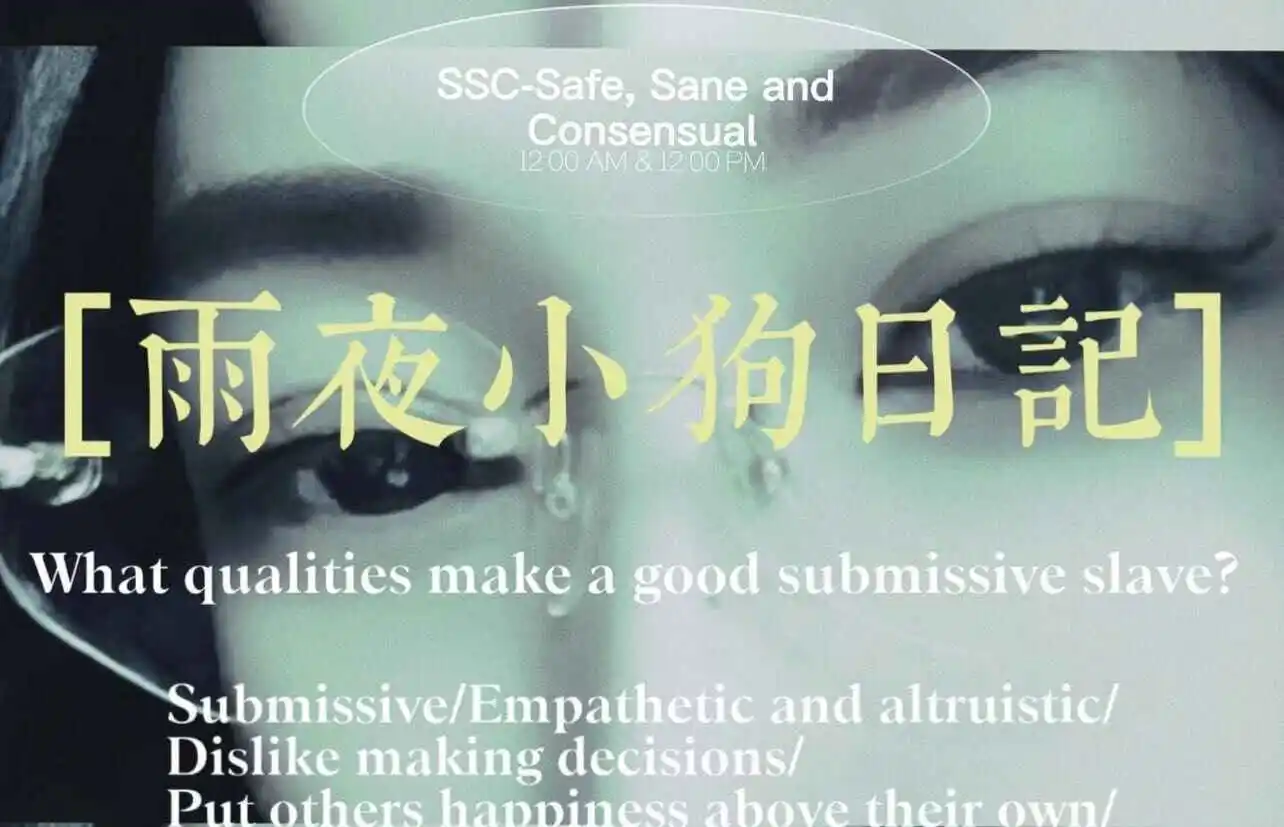 k9是什么 - 微信图片_20240708154450
