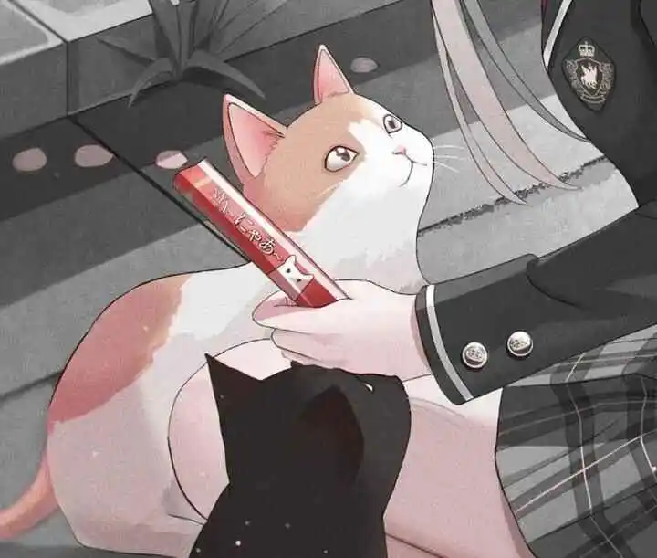 【西檬之家】Sub是什么？字母圈角色详解与入圈指南