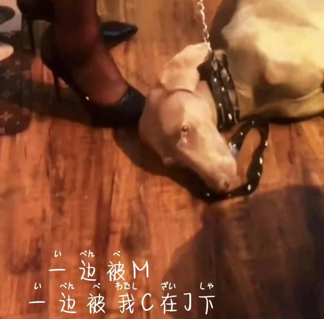 西檬之家-BDSM是什么？新手入门与核心概念解析