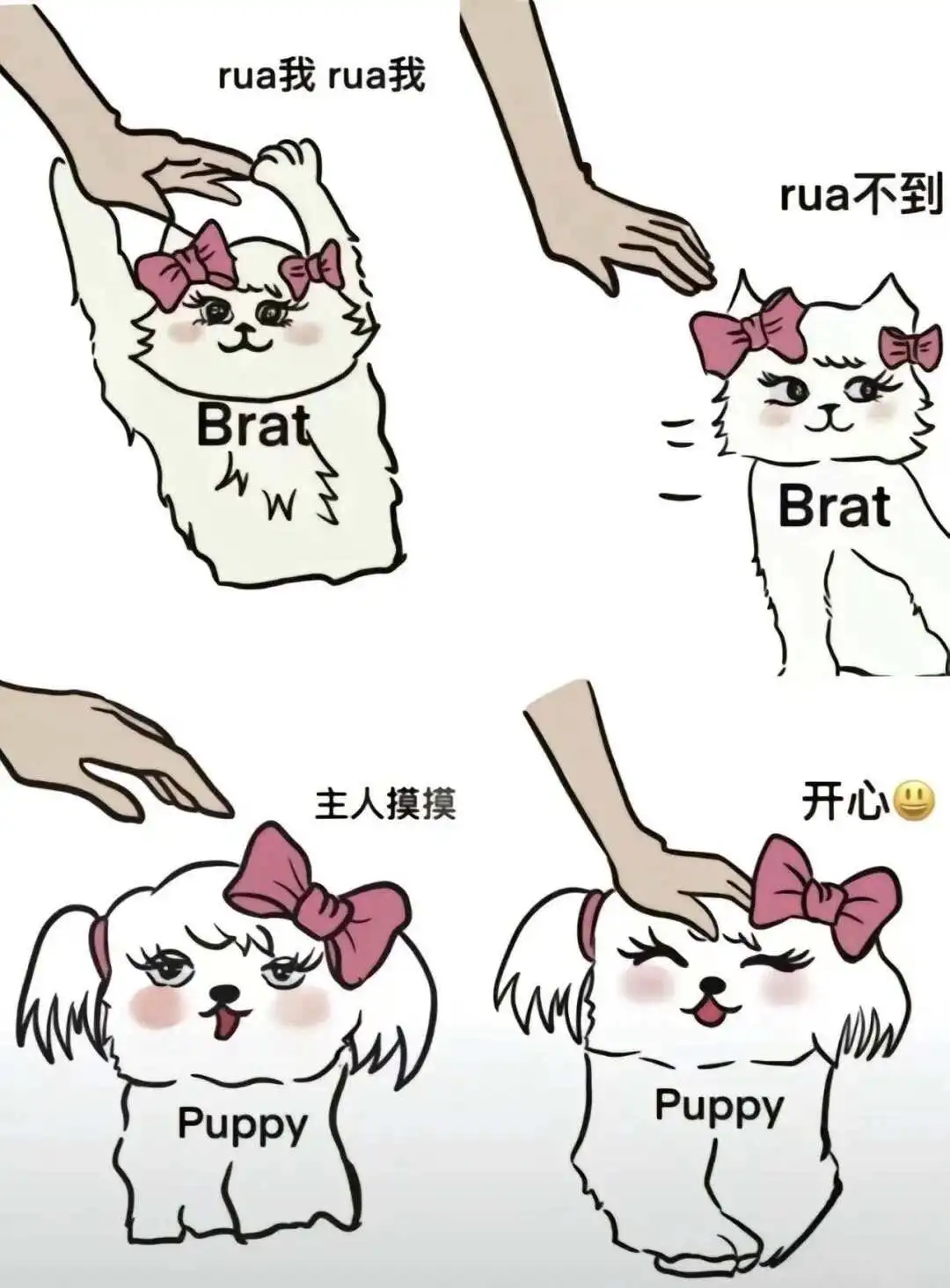 【西檬之家】字母圈Sp入门：新手如何建立安全信任的互动关系