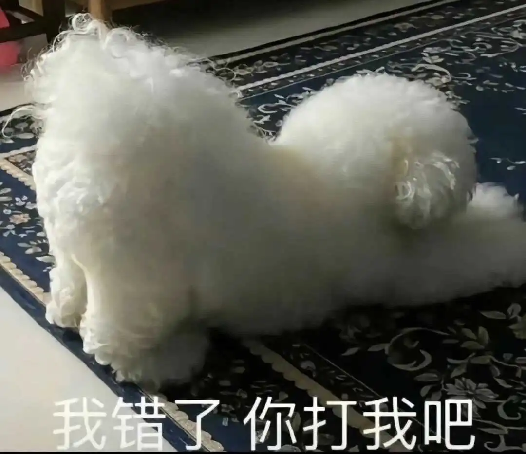 【西檬之家】s属性：字母圈新人入圈指南