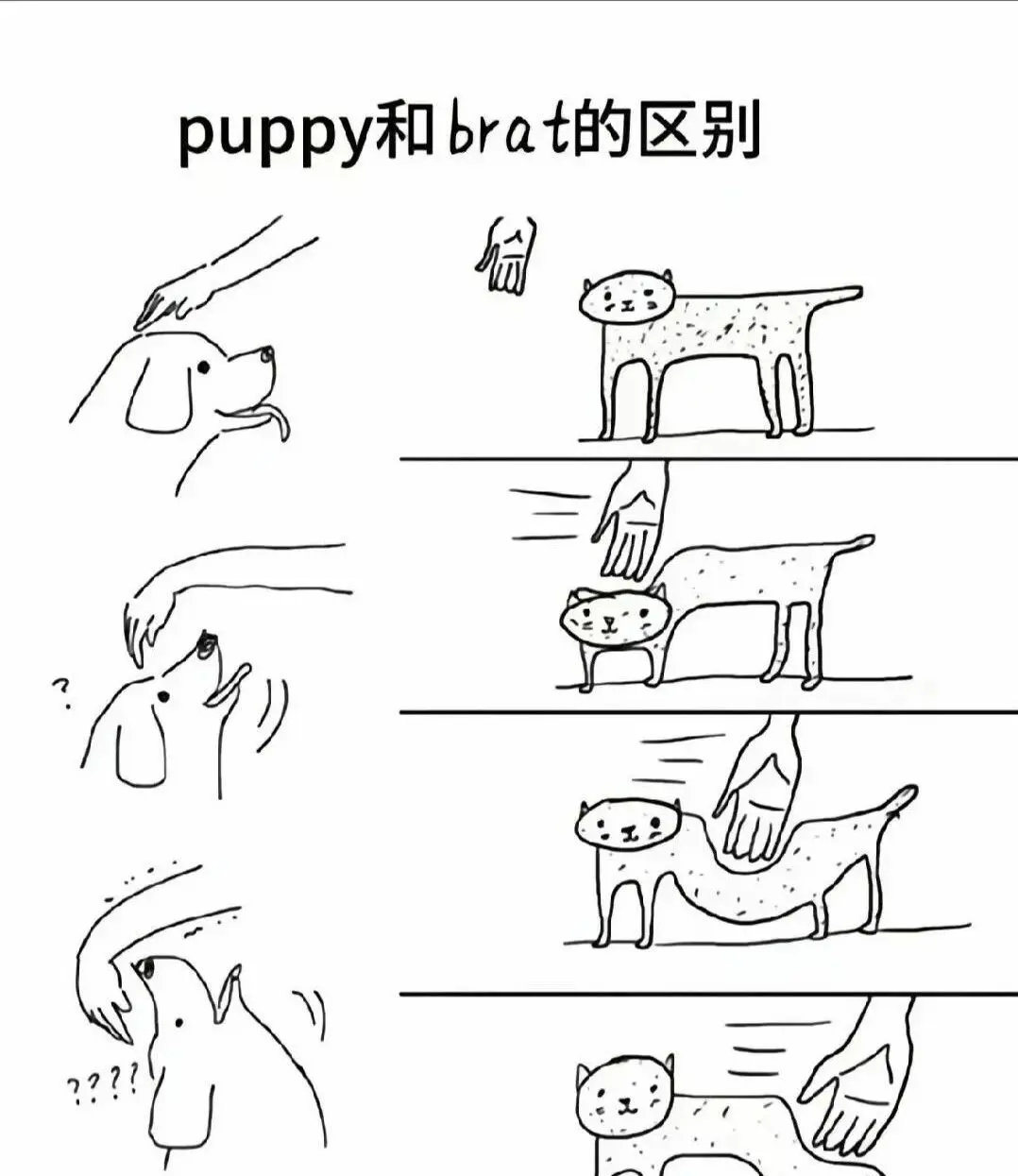 【西檬之家】字母圈S属性详解：新人如何理解BDSM关系？