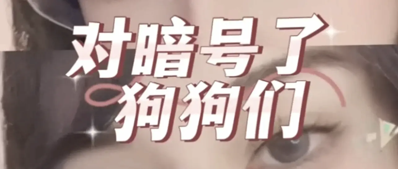【西檬之家】K8是什么？带你了解字母圈中的猫系角色扮演