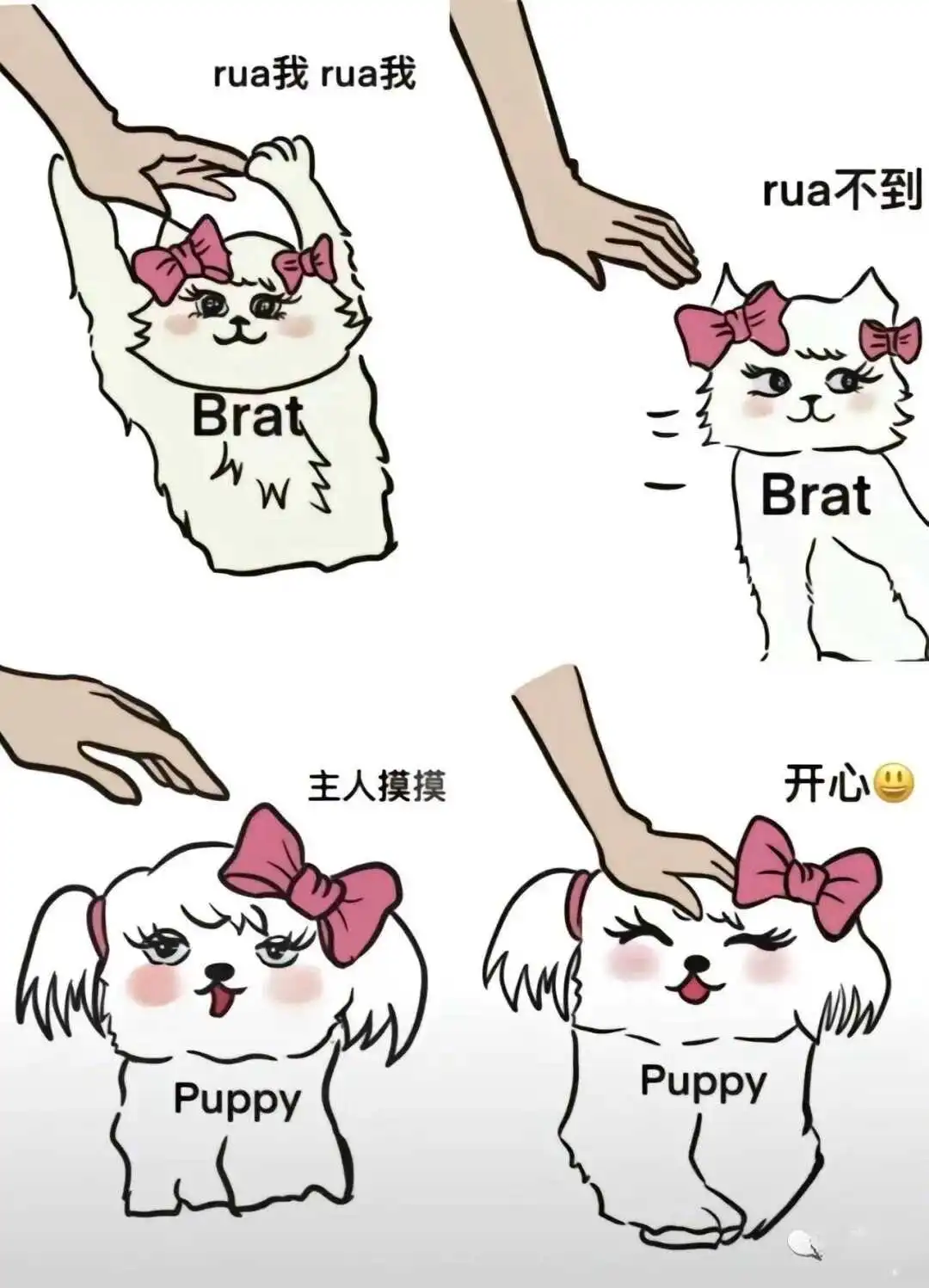 【西檬之家】字母圈新人必读：如何理解BDSM与践踏癖的边界